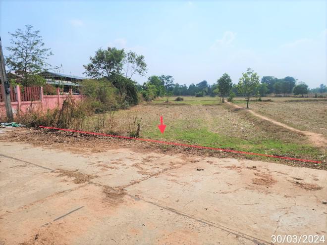 บัวแดง ปทุมรัตต์ ร้อยเอ็ด