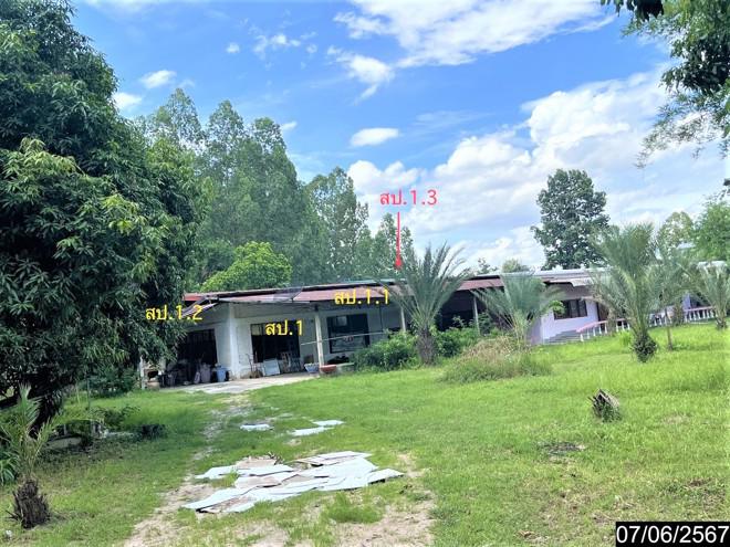 เหนือเมือง เมืองร้อยเอ็ด ร้อยเอ็ด