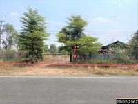 ขายบ้านเดี่ยว ดู่น้อย จตุรพักตรพิมาน ร้อยเอ็ด ขนาด 3-1-29.00 ของ ธนาคารกสิกรไทย
