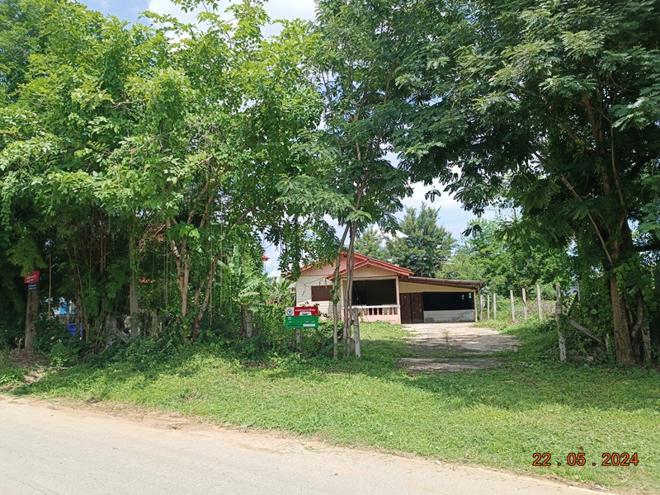 พนมไพร พนมไพร ร้อยเอ็ด