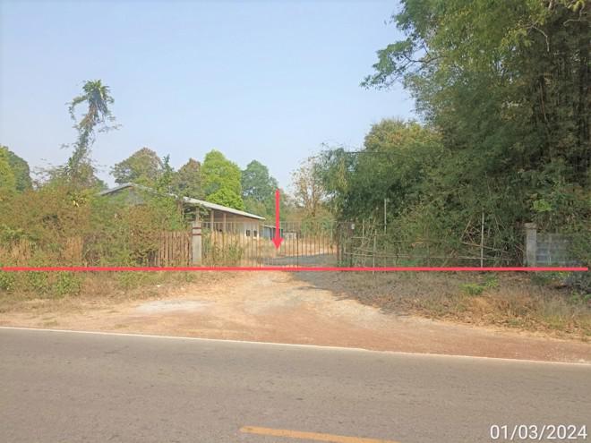 หนองผือ จตุรพักตรพิมาน ร้อยเอ็ด